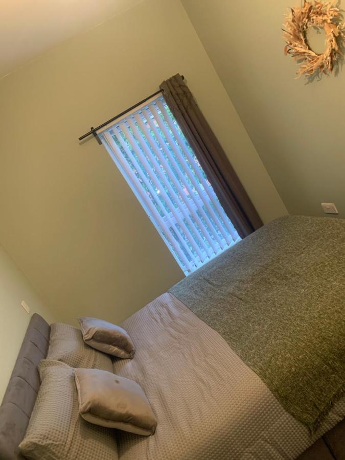 2 Bedroom Cheerful House Close To City Center 贝尔法斯特 外观 照片